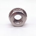 Flange Nut – SS304 - M8
