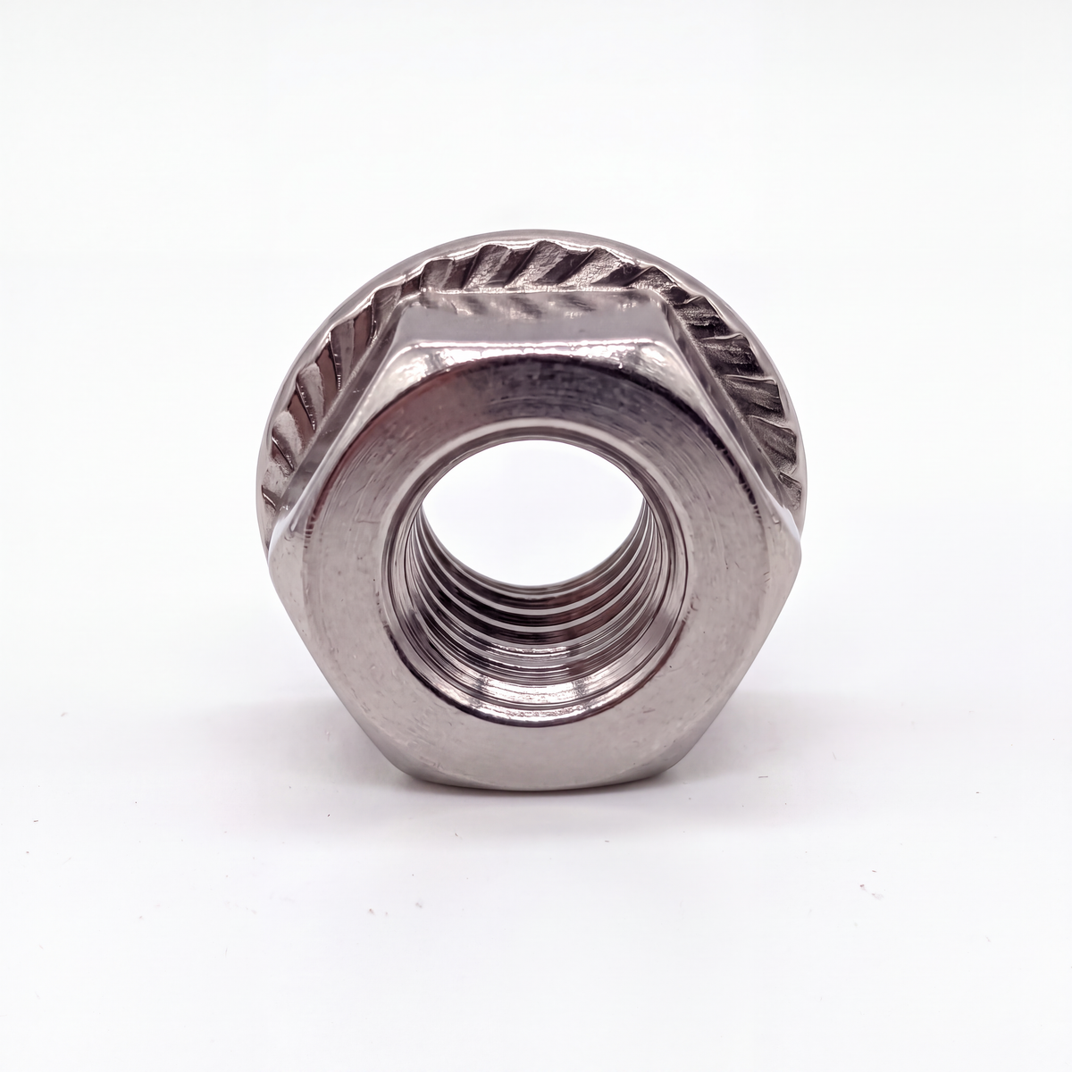 Flange Nut – SS304 - M8